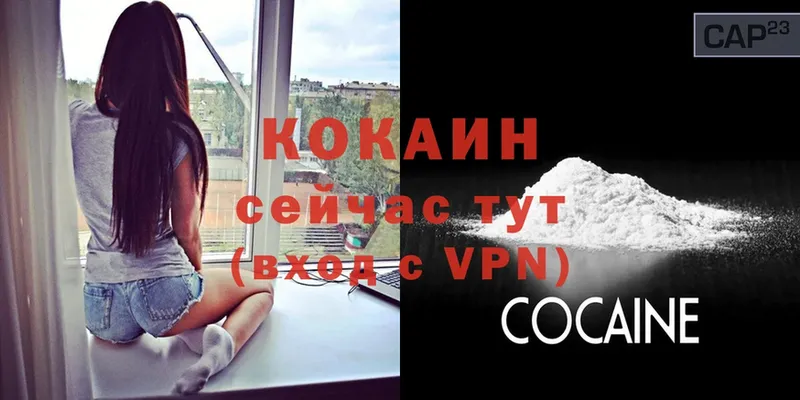 где можно купить   Кирсанов  COCAIN 98% 