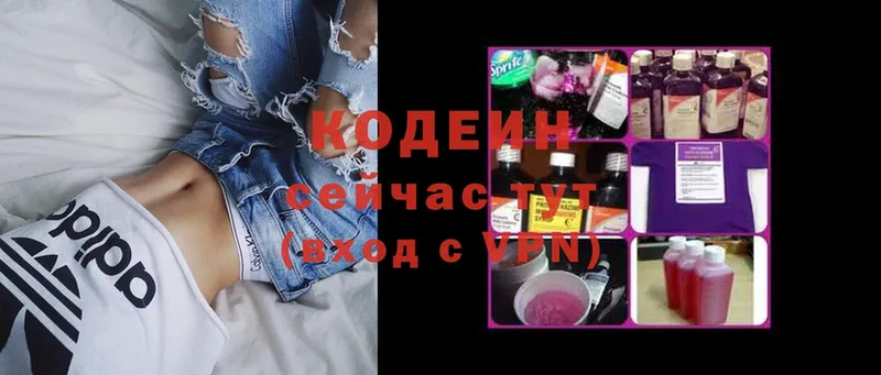 Кодеиновый сироп Lean Purple Drank  MEGA ONION  Кирсанов 