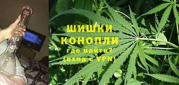 a pvp Новозыбков