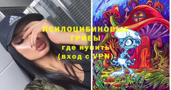 спиды Нефтекумск