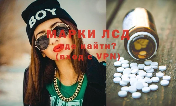 a pvp Новозыбков