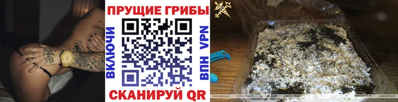 Галлюциногенные грибы ЛСД  магазин    Кирсанов 